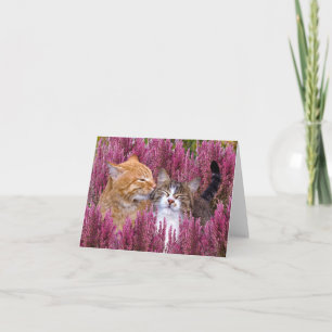 Carte de note "Chats en cuir"