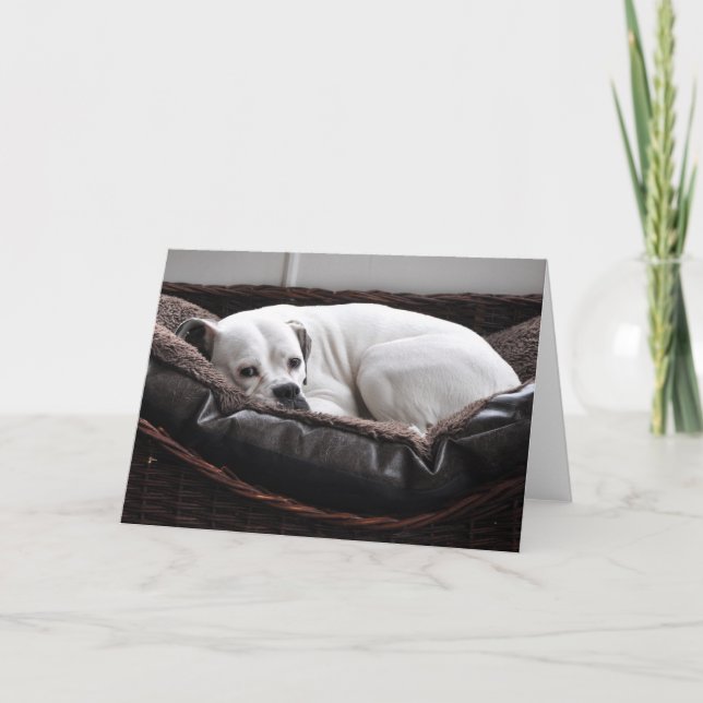 Carte de note : Chien de boxeur (Devant)
