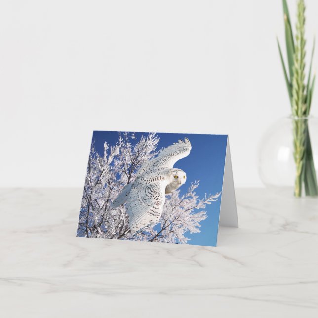 Carte de note "Chouette neige" (Devant)