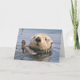 Carte de note climatique Nature