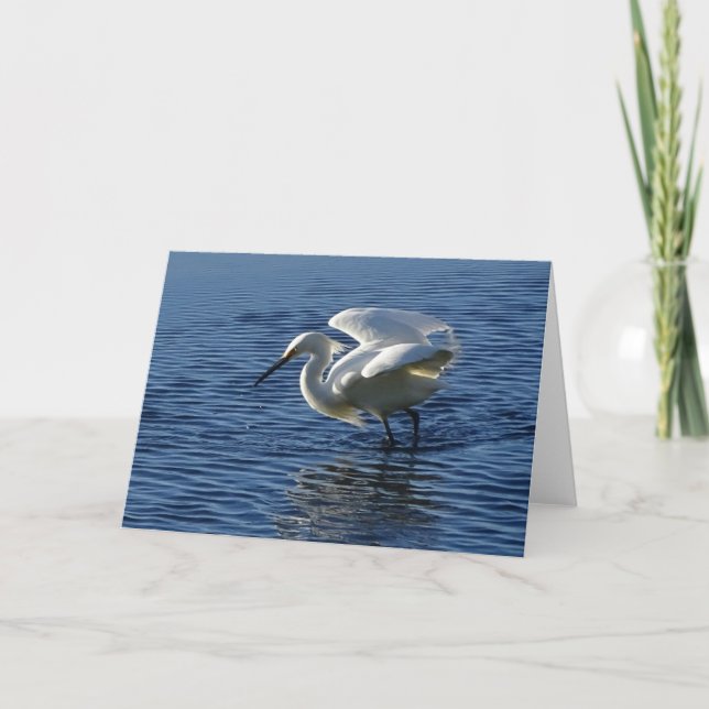Carte de note climatique Nature (Devant)
