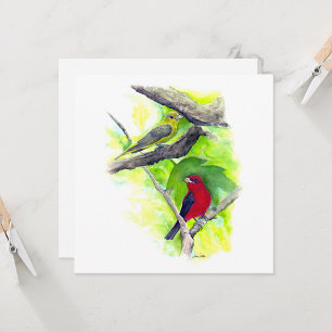 Carte de note Couple Scarlet Tanager