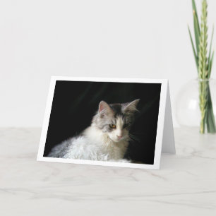 Carte de note Cute Maine Coon