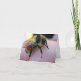 Carte de note d'abeille