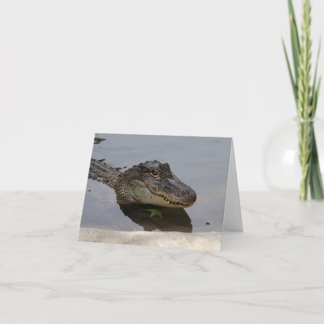 Carte de note d'alligator (Devant)