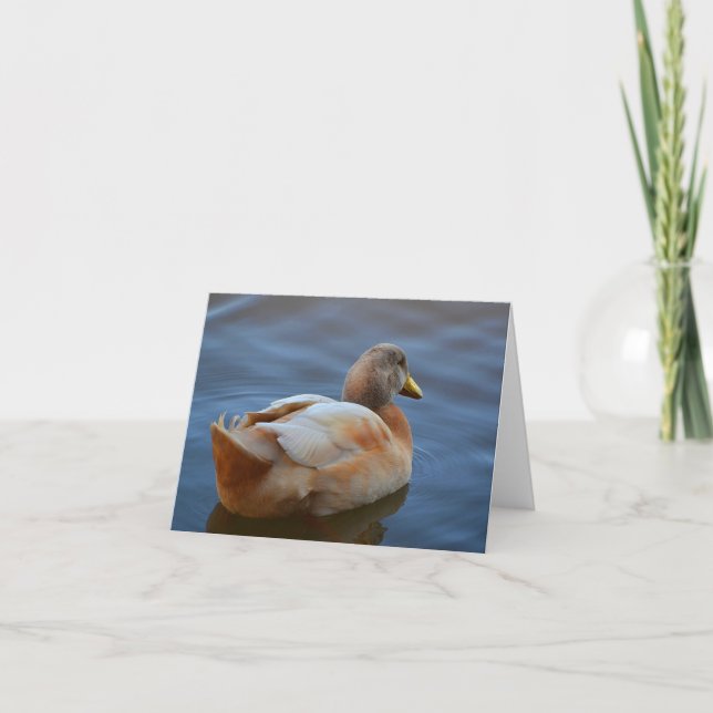Carte de note Dandy Duck (Devant)