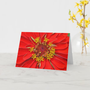 Carte de note d'art de fermeture de la fleur Red Z