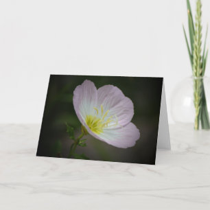 Carte de note d'art Fleur sauvage du soir