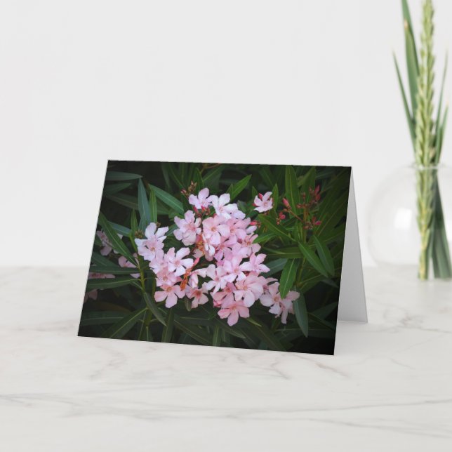 Carte de note d'art photographique Fleurs roses sp (Devant)