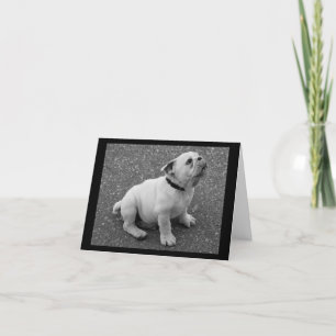 Carte de note de bienvenue anglaise Bulldog Chien 