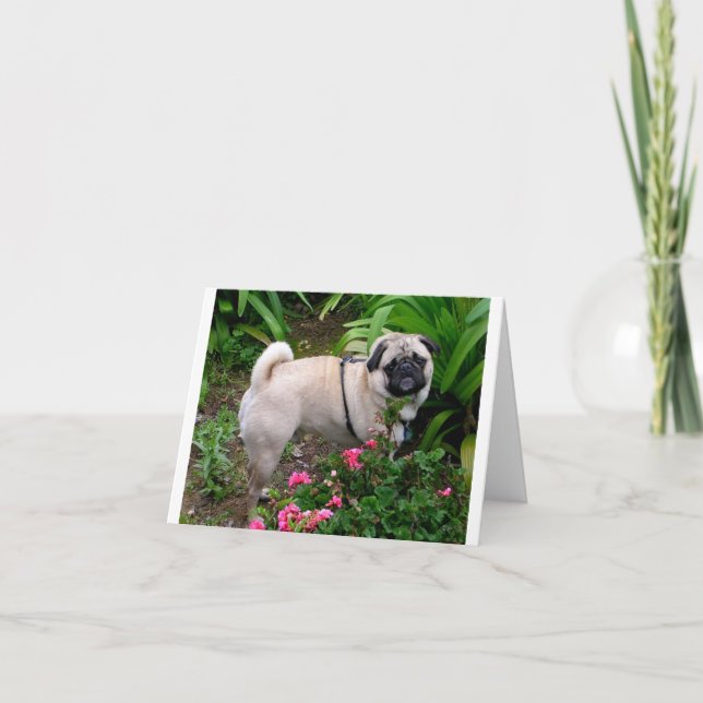 Carte de note de bienvenue pour chien Carlin chiot (Devant)