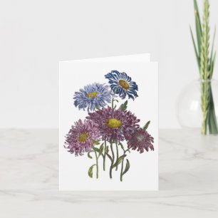 Carte de note de blanc d'aquarelle d'asters