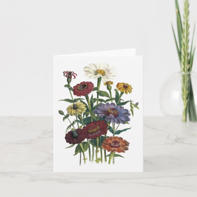 Carte de note de blanc d'aquarelle de Zinnias (Devant)