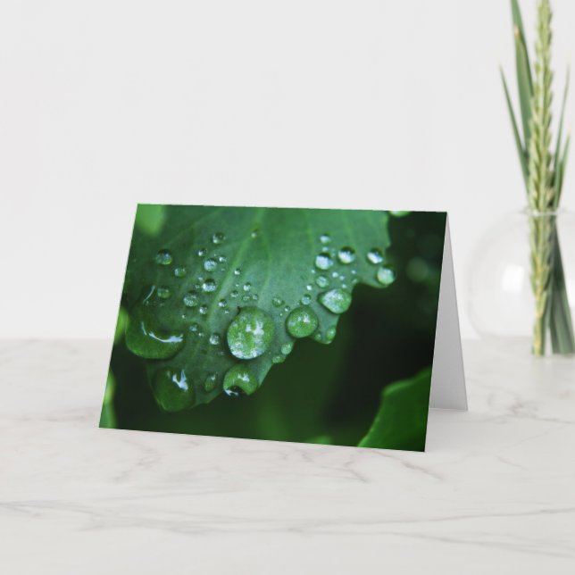Carte de note de blanc de baisse de pluie (Devant)