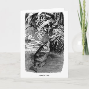 Carte de note de blanc d'histoire naturelle