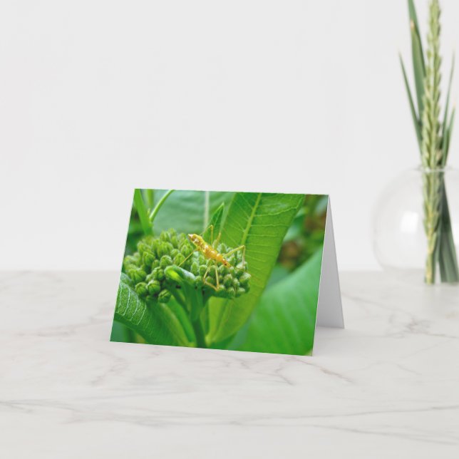 Carte de note de bogue de l'Assistant Réduviid (Devant)