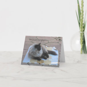 Carte de note de chat souvenirs