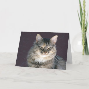 Carte de note de chat Tabulation Gris