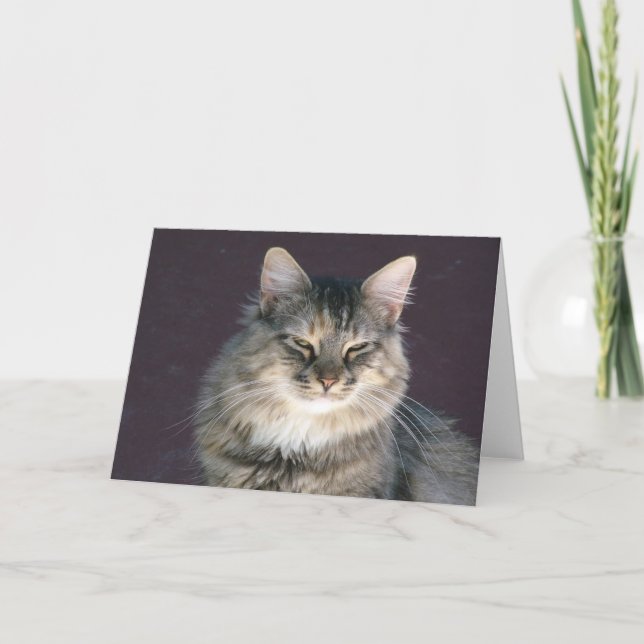 Carte de note de chat Tabulation Gris (Devant)