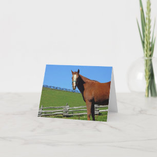 Carte de note de cheval