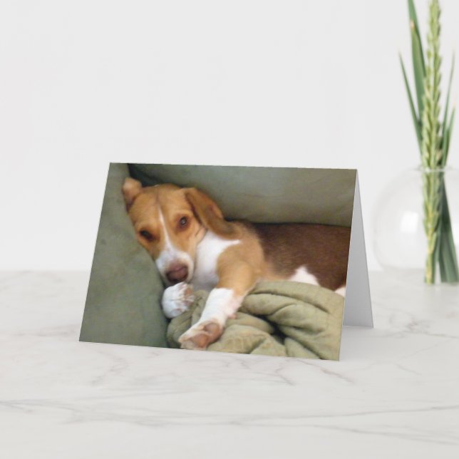 Carte de note de chiot de câlin (Devant)