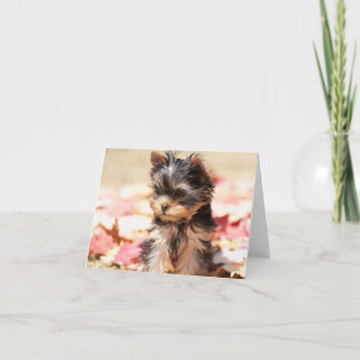 Carte de note de chiot de Yorkie d'automne