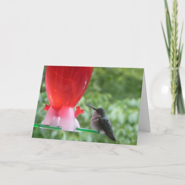 Carte de note de colibri (Devant)