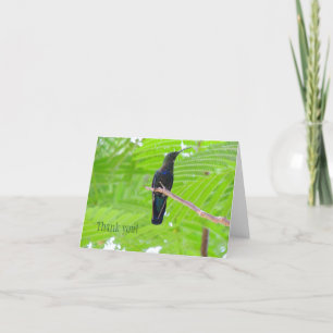 Carte de note de colibri vert Throrosé