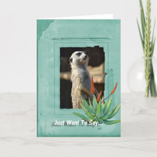 Carte de note de collection de Meerkat