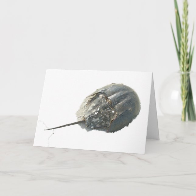 Carte de note de crabe en fer à cheval (Devant)