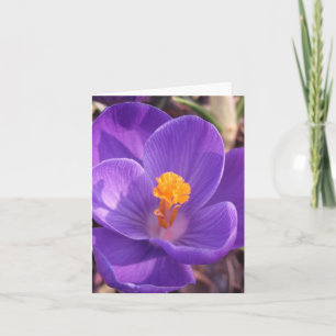 Carte de note de crocus