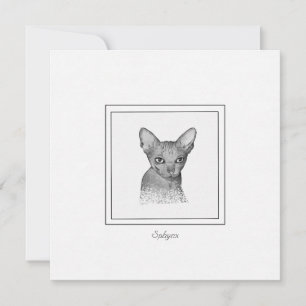 Carte de note de dessin Sphynx Chat Chalk