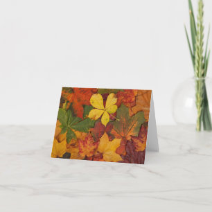 Carte de note de feuilles d'automne colorées