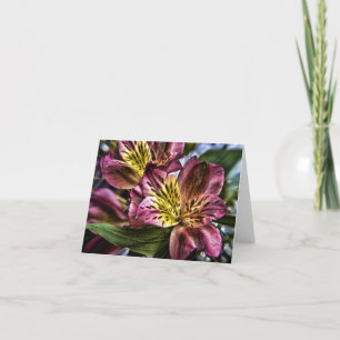 Carte de note de fleur de lis péruvien