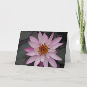 Carte de note de fleur de Lotus