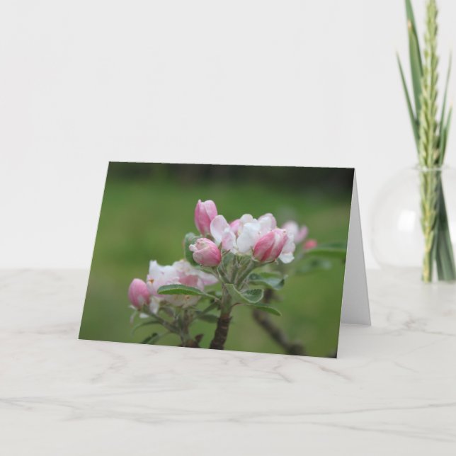 Carte de note de fleur de pommier (Devant)