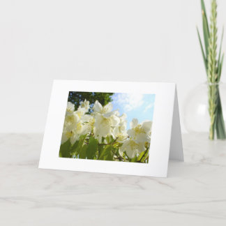 Carte de note de fleurs Jasmine