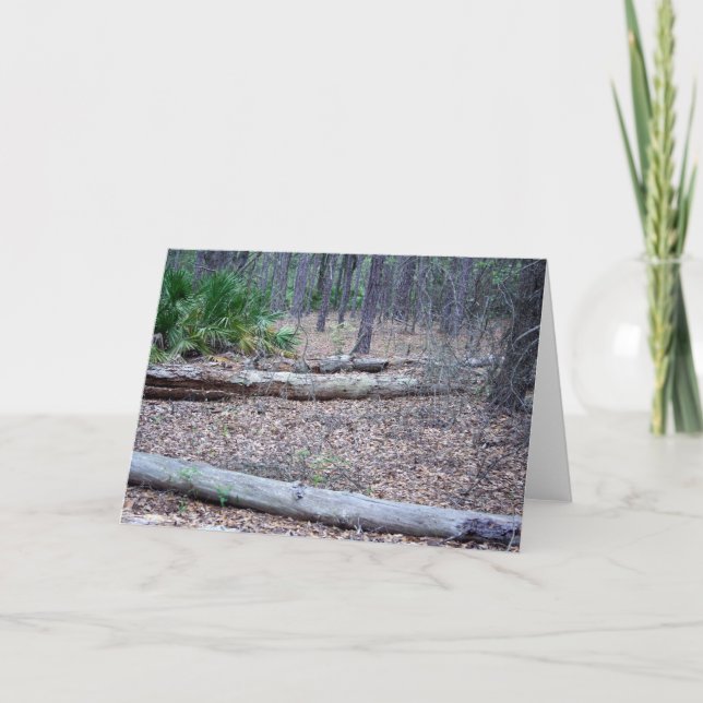 Carte de note de forêt de pin (Devant)