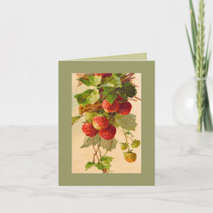 CARTE de NOTE de fraises de Catherine Klein DKGR