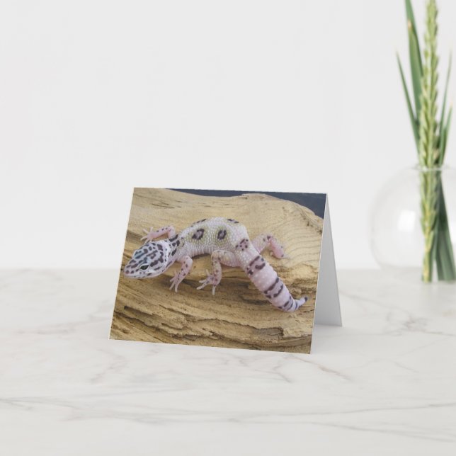 Carte de note de Gecko de léopard (Devant)
