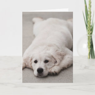 Carte de note de golden retriever