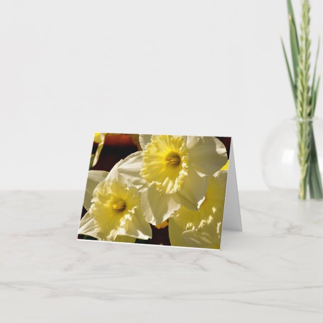 Carte de note de jonquilles (Devant)