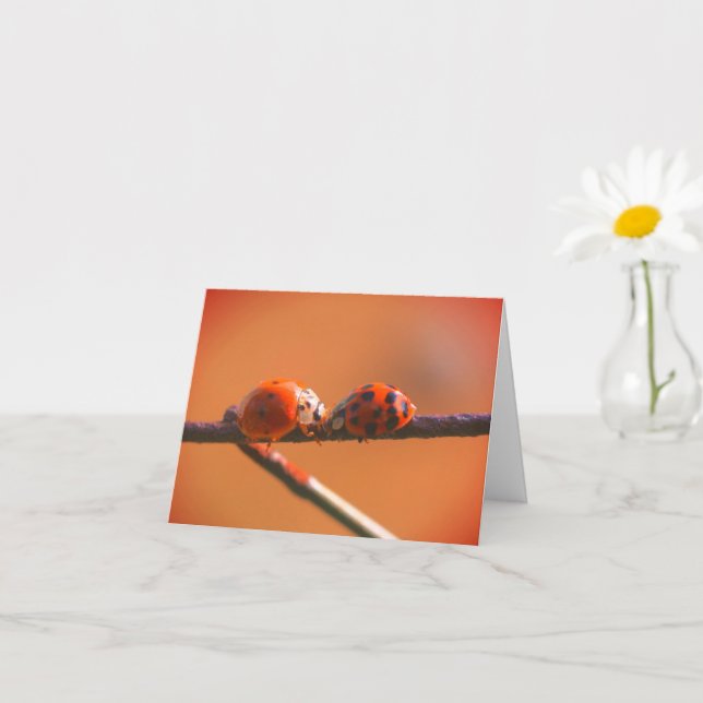 Carte de note de la nature Ladybug Friends (Petite plante)