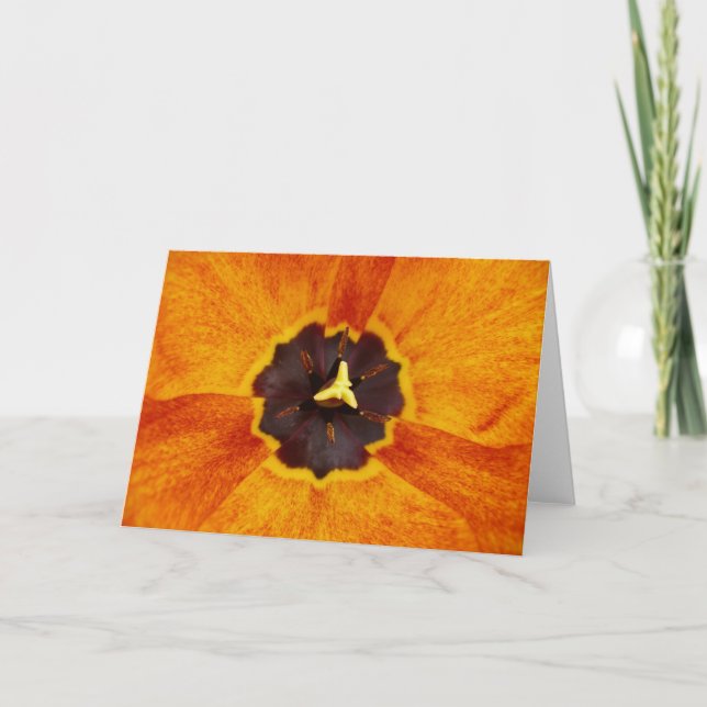 Carte de note de la tulipe modifiée (Devant)