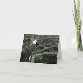 Carte de note de l'aigle à tête blanche