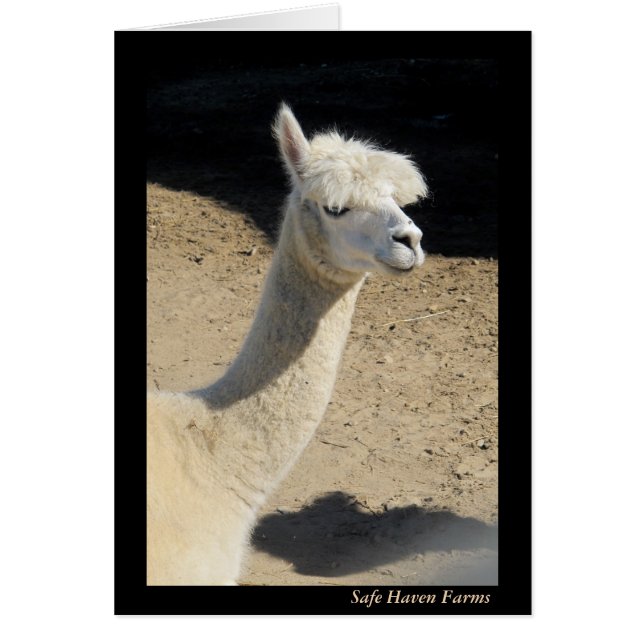 Carte de note de maman Llama (Devant)