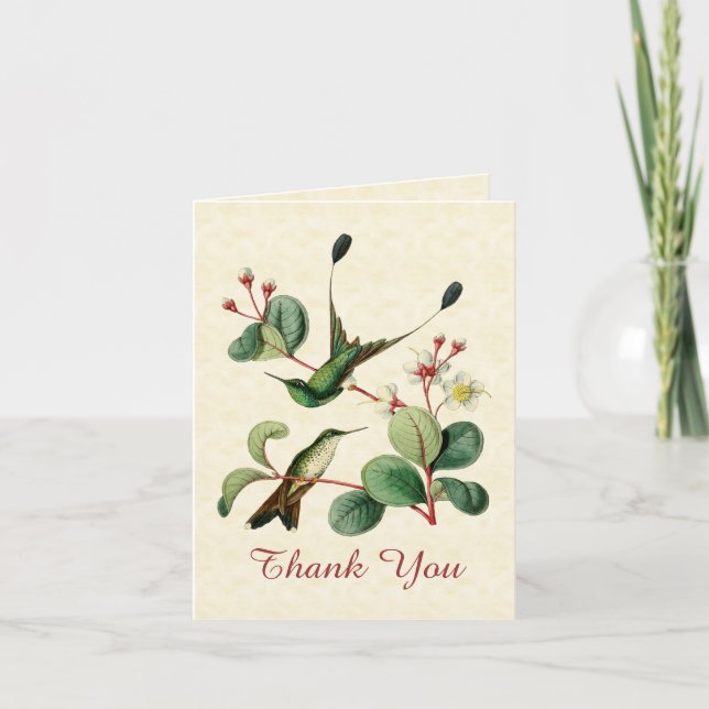 Carte de note de Merci de colibri de queue de (Devant)