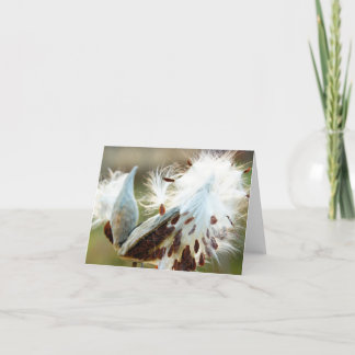 Carte de note de Milkweed : Complètement des