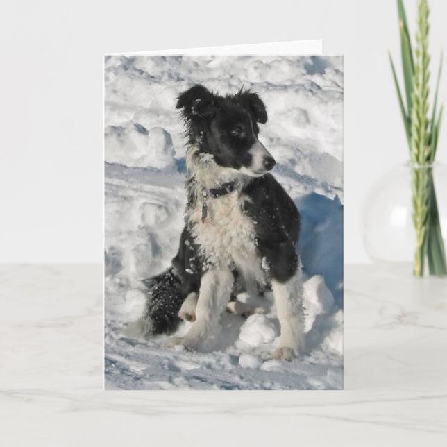 Carte de note de Noël Collie Bordure (Devant)
