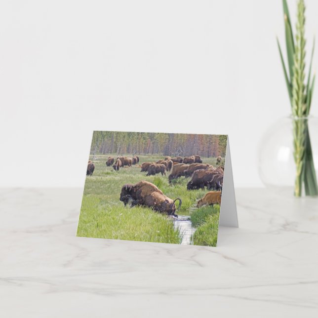 Carte de note de passage de bison (Devant)